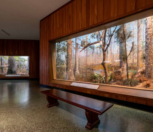 Raza y cultura en el Museo Americano de Historia Natural