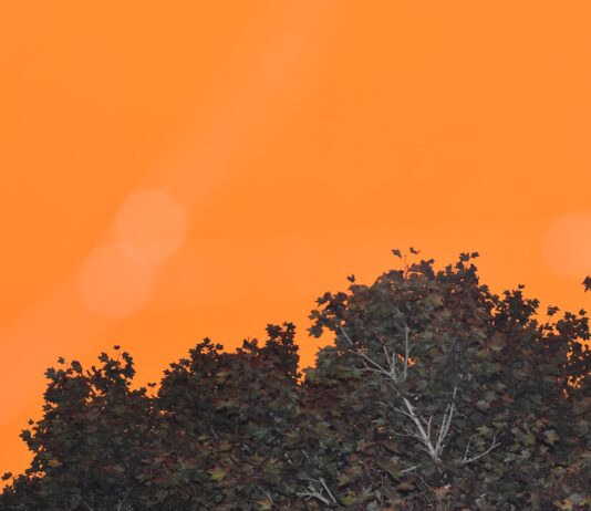 Preparativos para la próxima humareda