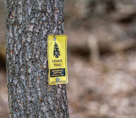 Los verdaderos primeros residentes de Nueva York