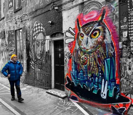 Qué significa el búho Flaco para Nueva York