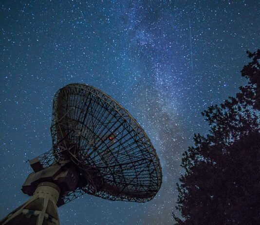 Vagabundos de este asombroso universo