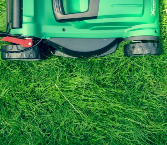 Mayo sin cortar el césped