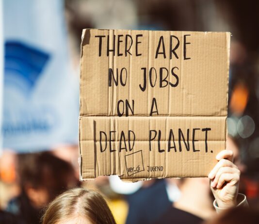 Ganó Trump y perdió el planeta