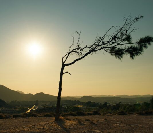 Fatiga de alertas, antiturismo y las palabras del caluroso 2024