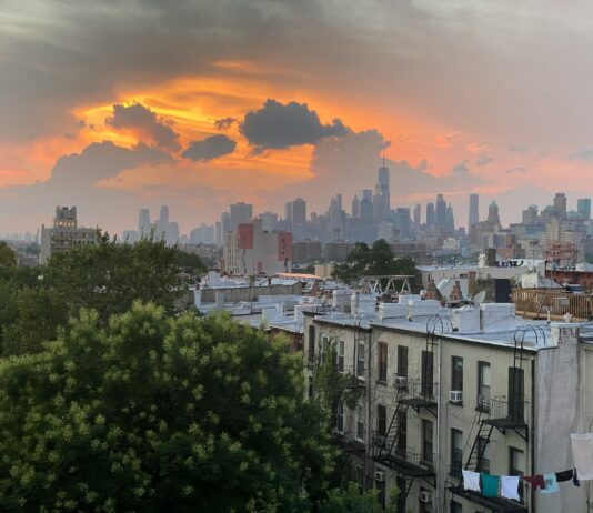 Un árbol crece en Brooklyn