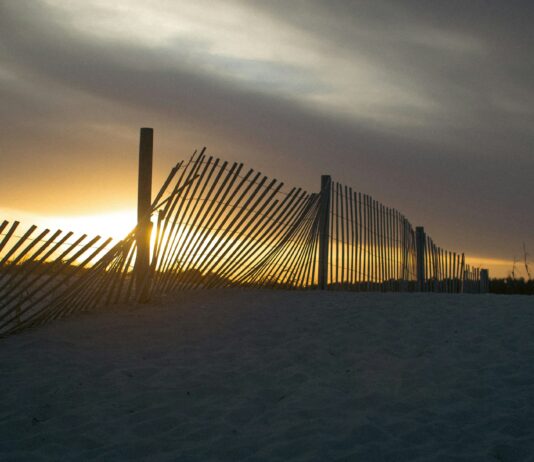 Amar la costa es amar algo ya medio perdido