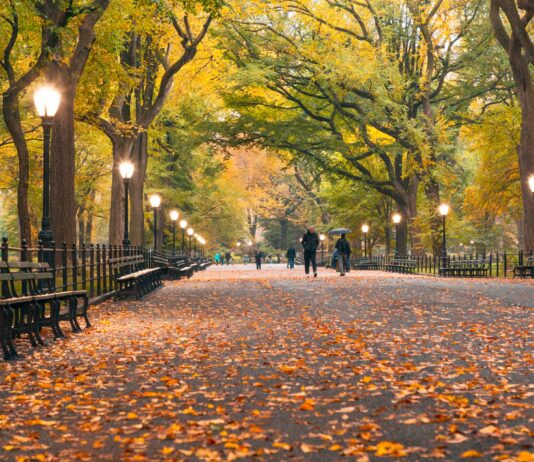 15 consejos para visitar Nueva York en otoño