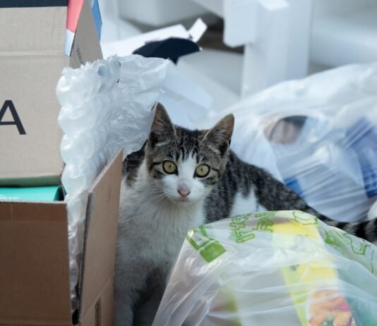 Feral, Inc.